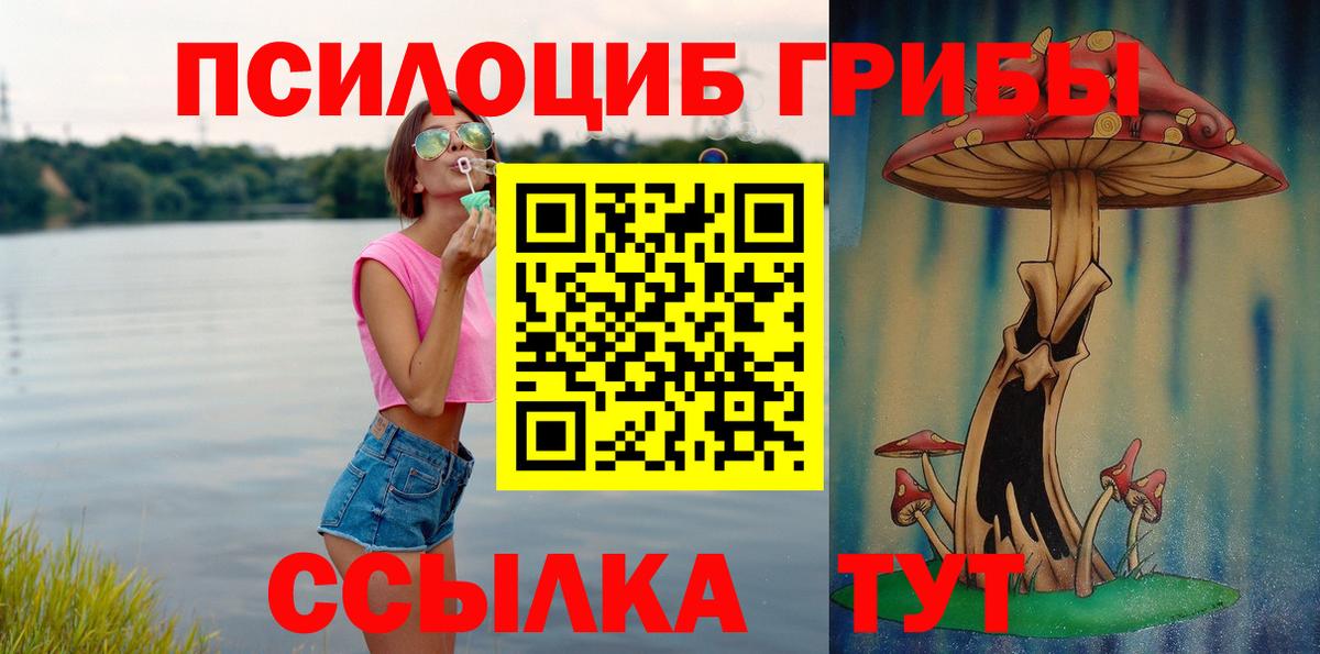 Галлюциногенные грибы GOLDEN TEACHER  Псилоцибиновые грибы прущие грибы  Псков  Вход с VPN 