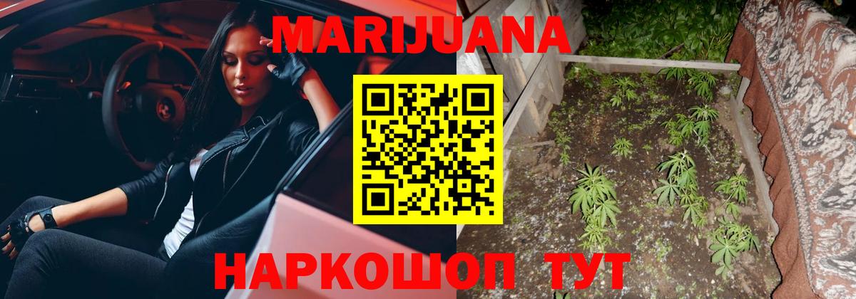 Конопля Ganja Псков